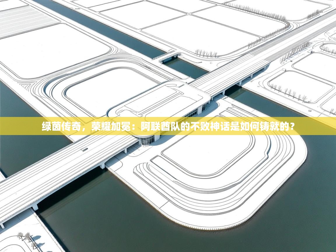 绿茵传奇，荣耀加冕：阿联酋队的不败神话是如何铸就的？  第1张